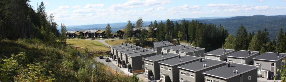 Lillevannsåsen Sameie