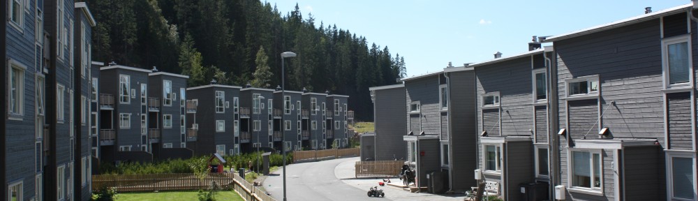 Lillevannsåsen Sameie